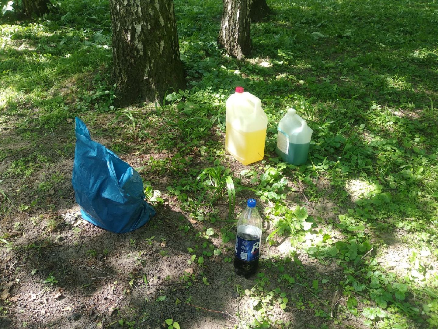 Дмитров, Березовая роща, Минблаго МО