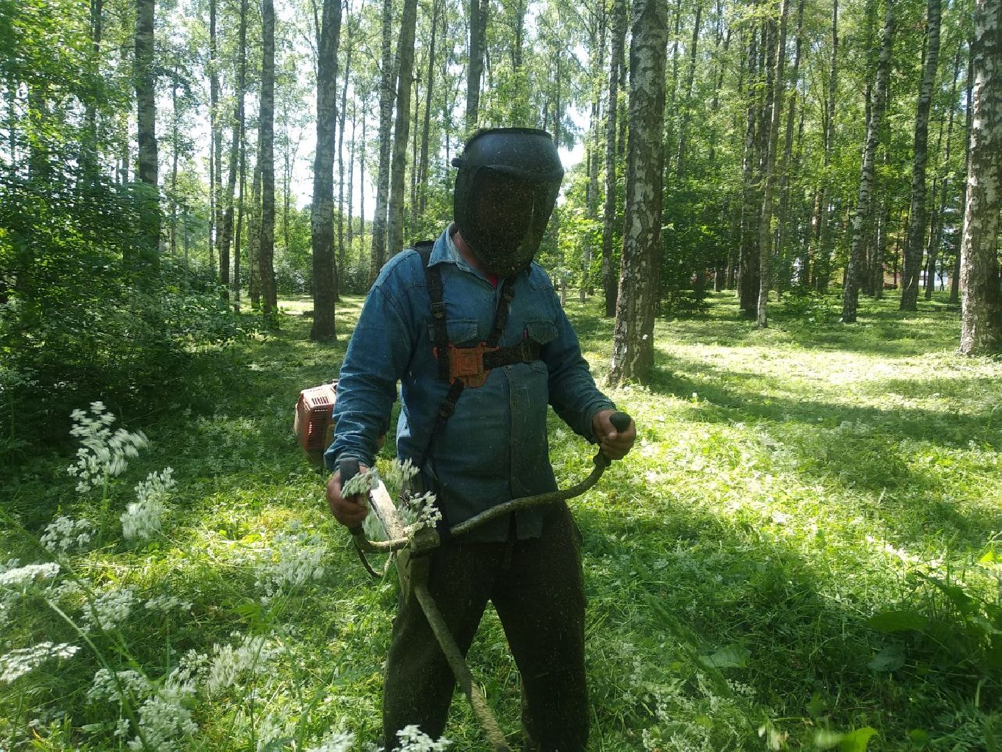 Дмитров, Березовая роща, Минблаго МО