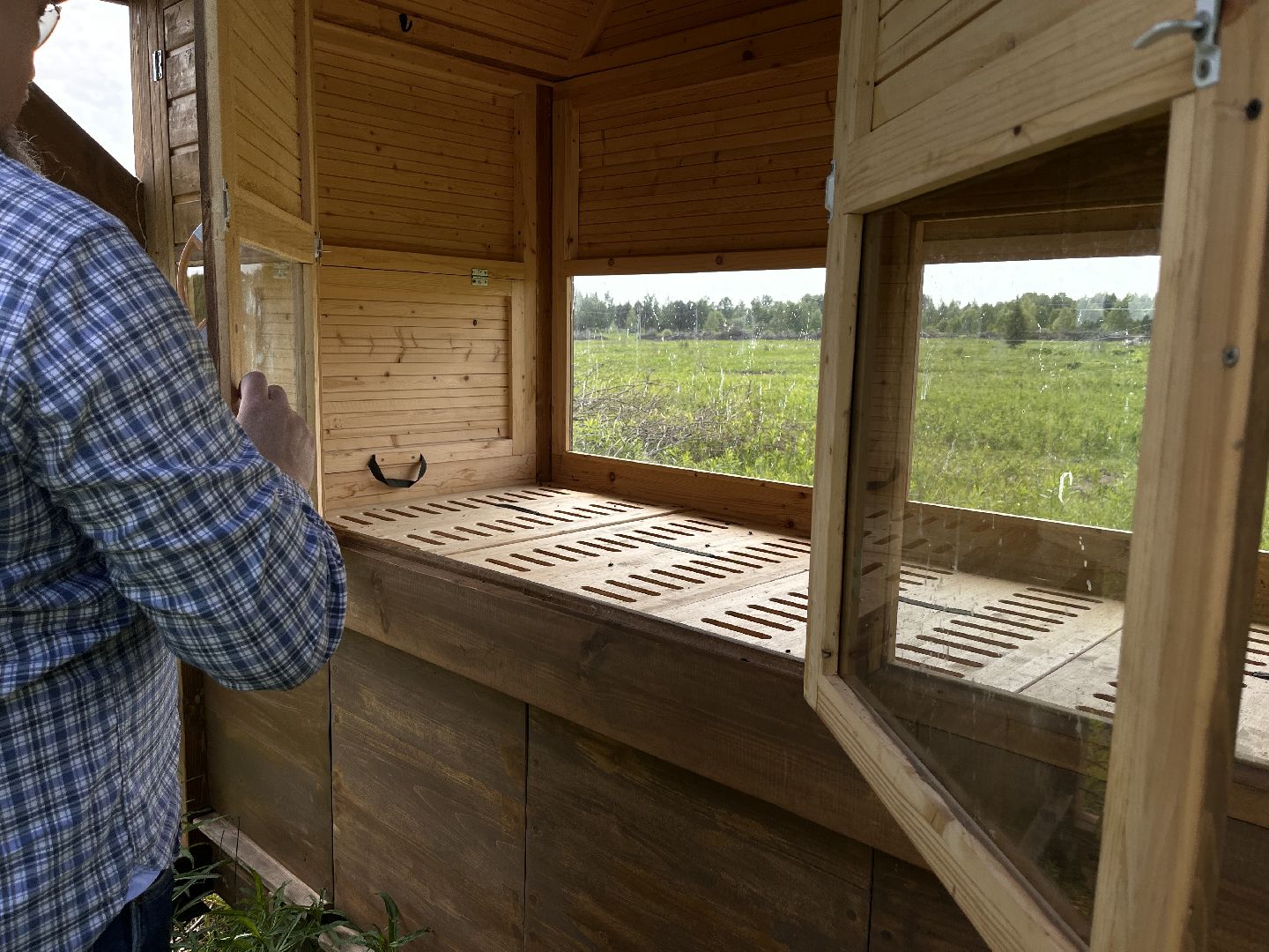 Шаховская, пчелы, мед