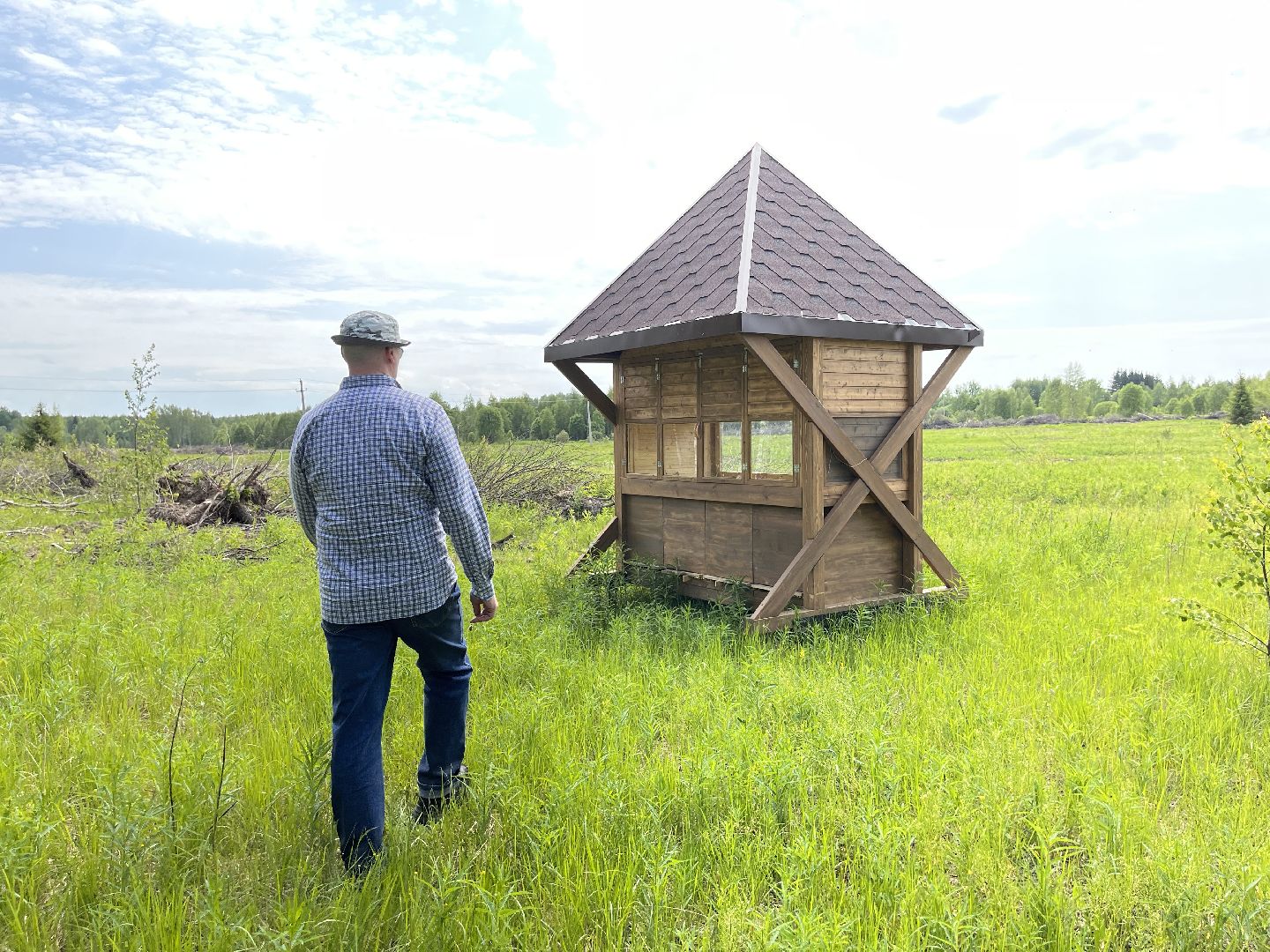 Шаховская, пчелы, мед
