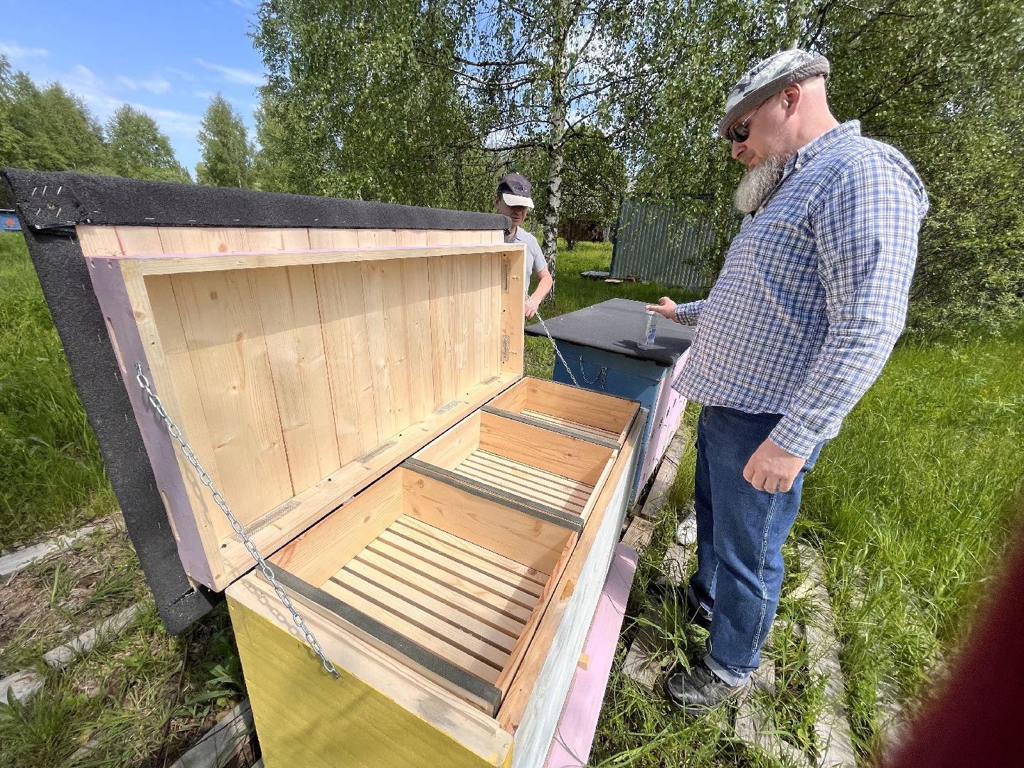 Шаховская, пчелы, мед