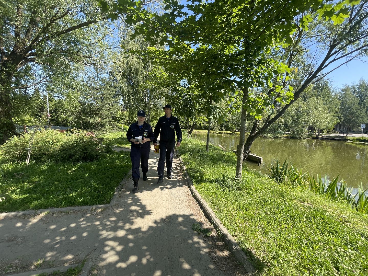 Спасатели, рейд, безопасность, водоём, лес,