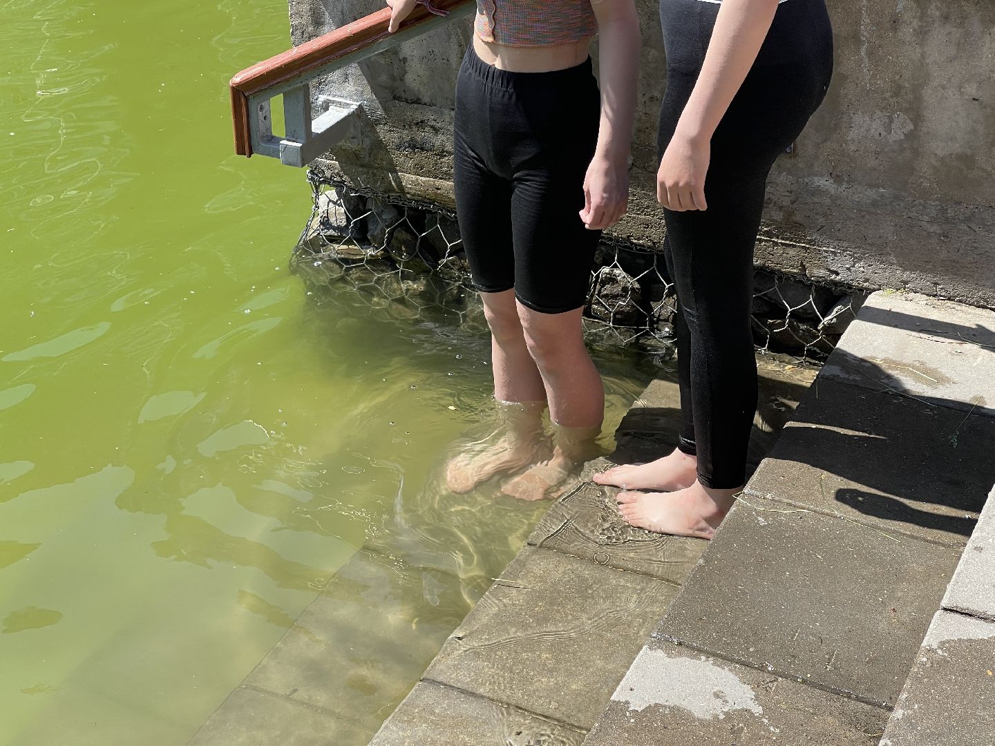 Спасатели, рейд, безопасность, водоём, лес,