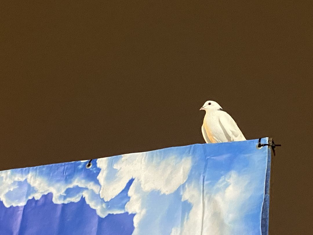 Люберцы, города