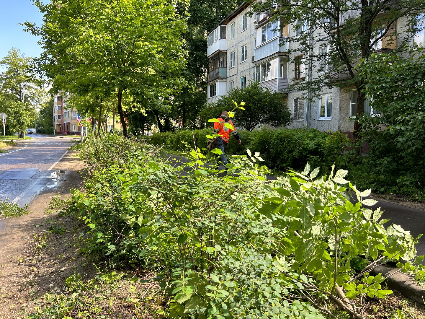 Благоустройство, коммунальные службы, Щелково