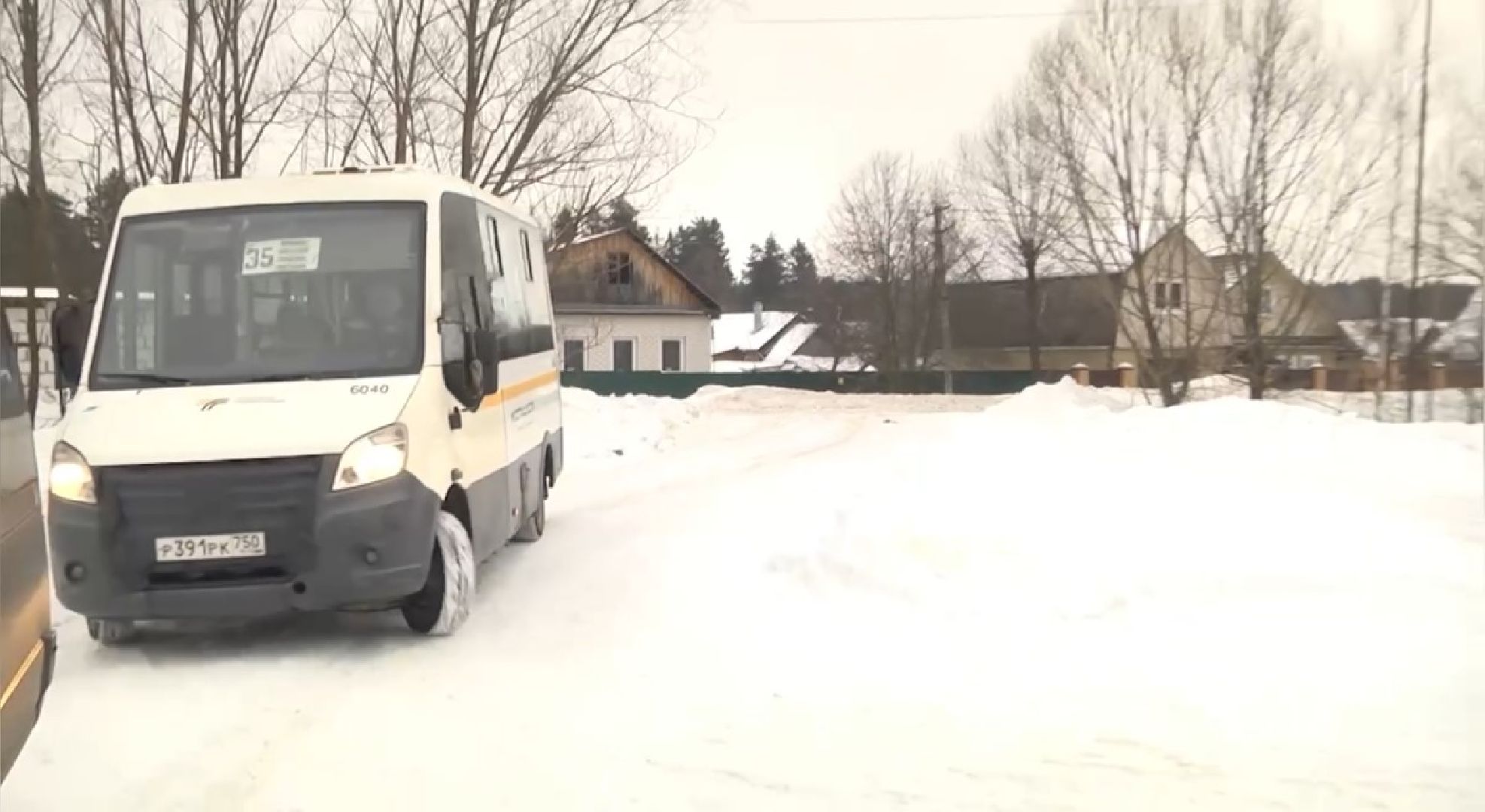 Щёлково, общество