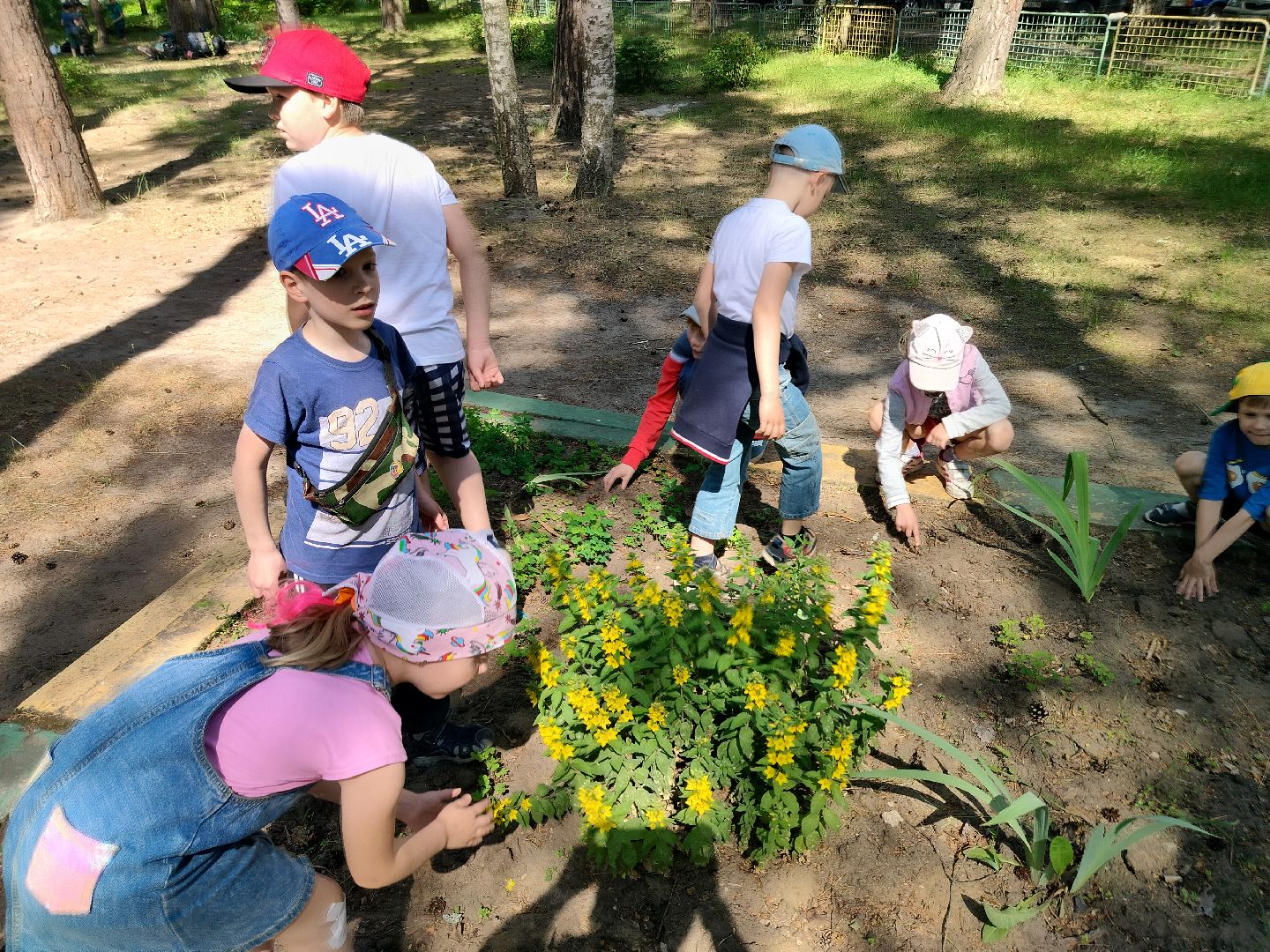 летний лагерь, каникулы, дети, Протвино, ДЮЦ Горизонт