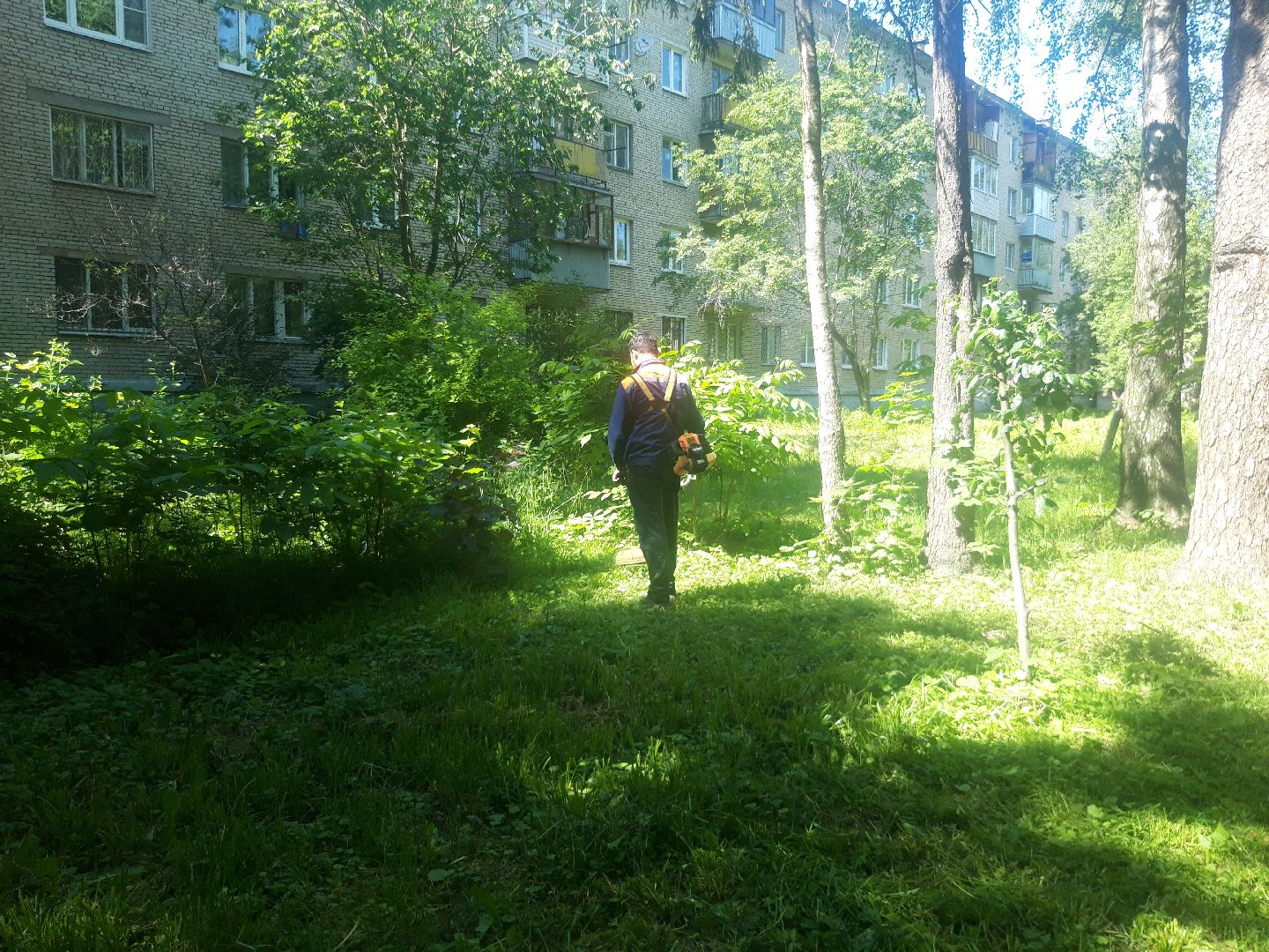 доброе дело, двор, выходи во двор,