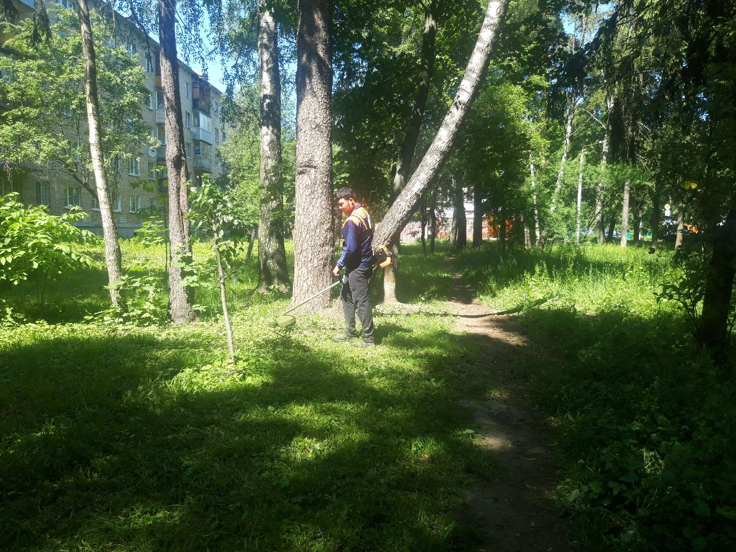 доброе дело, двор, выходи во двор,