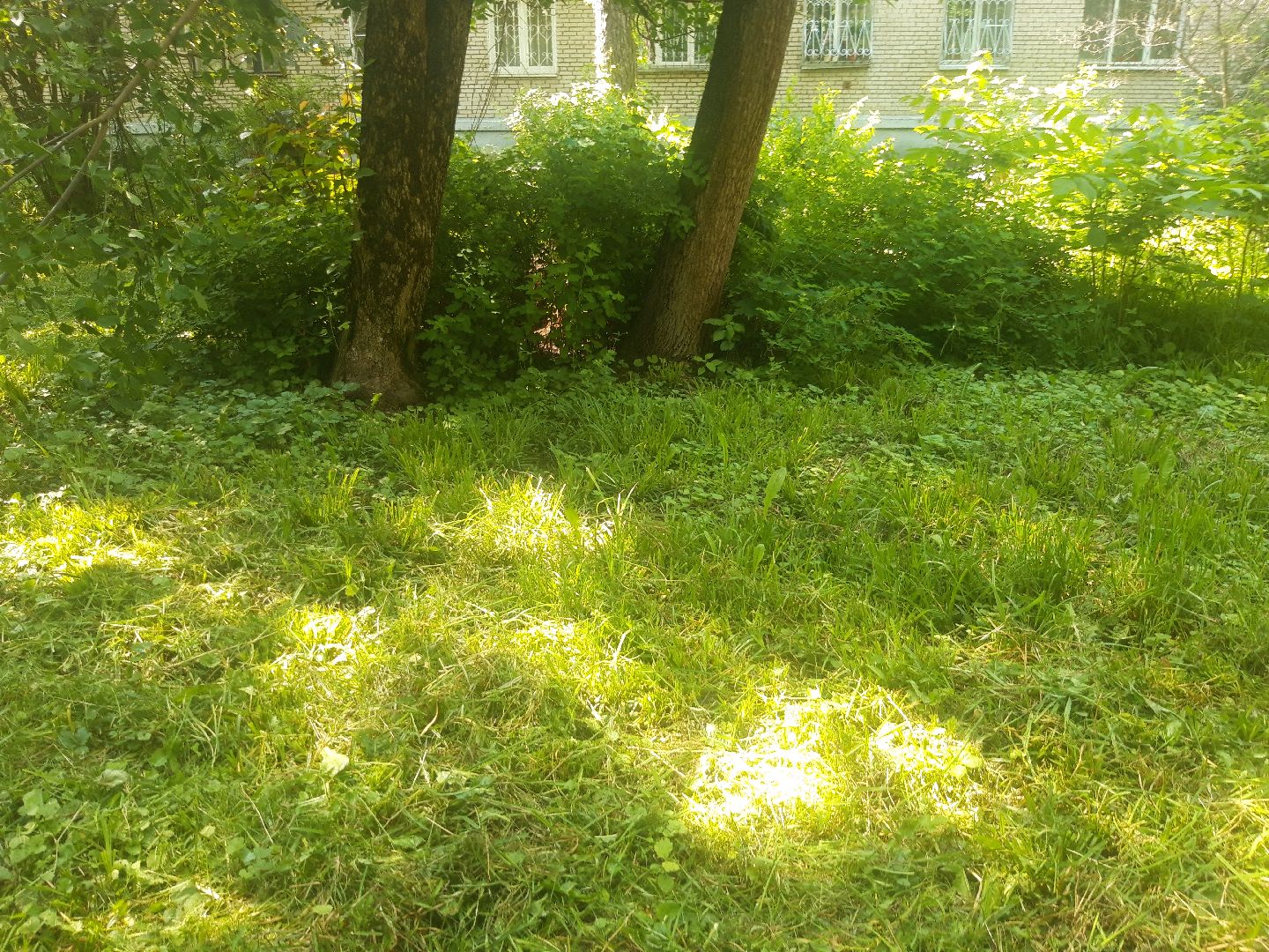 доброе дело, двор, выходи во двор,