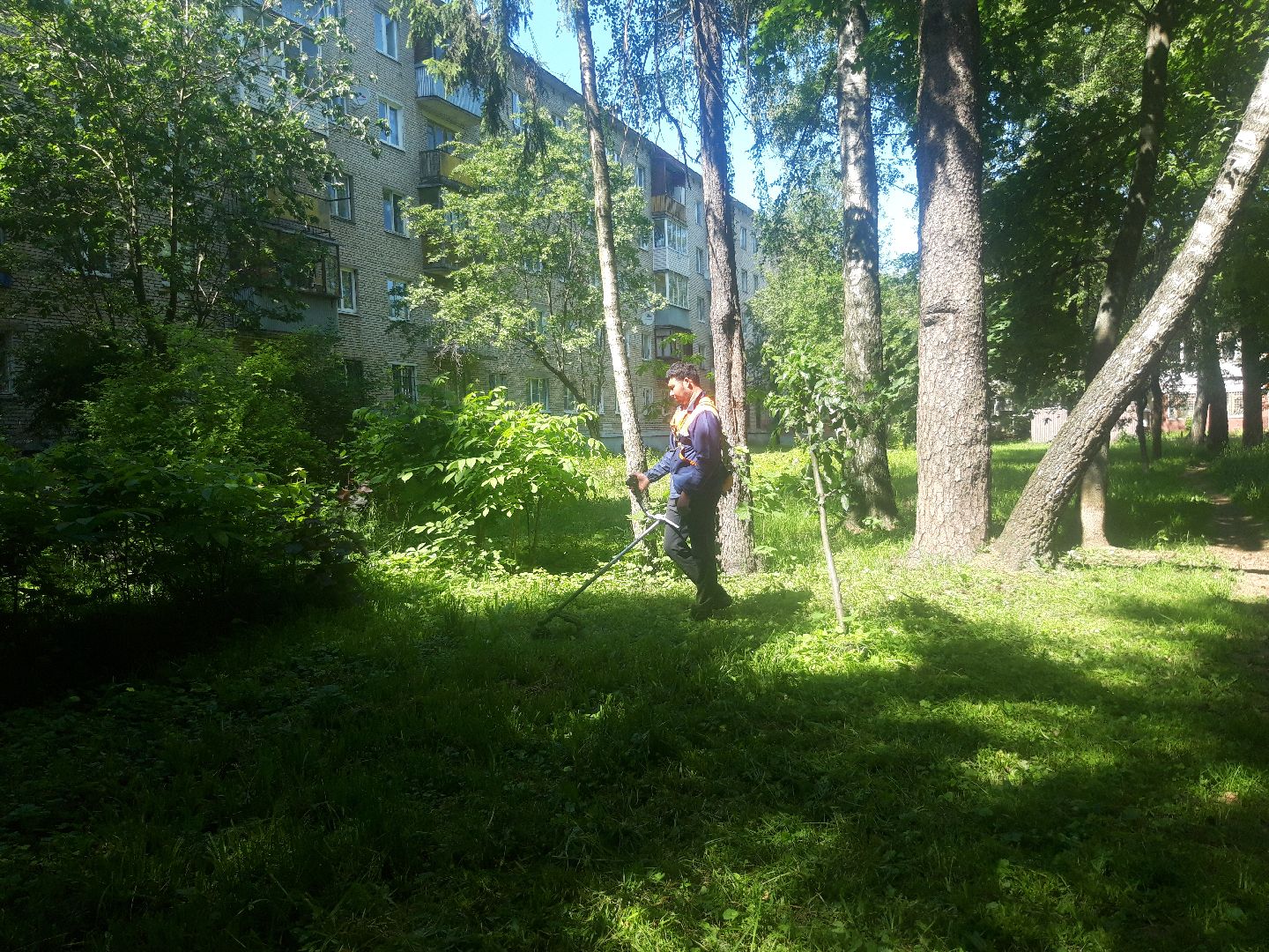 доброе дело, двор, выходи во двор,