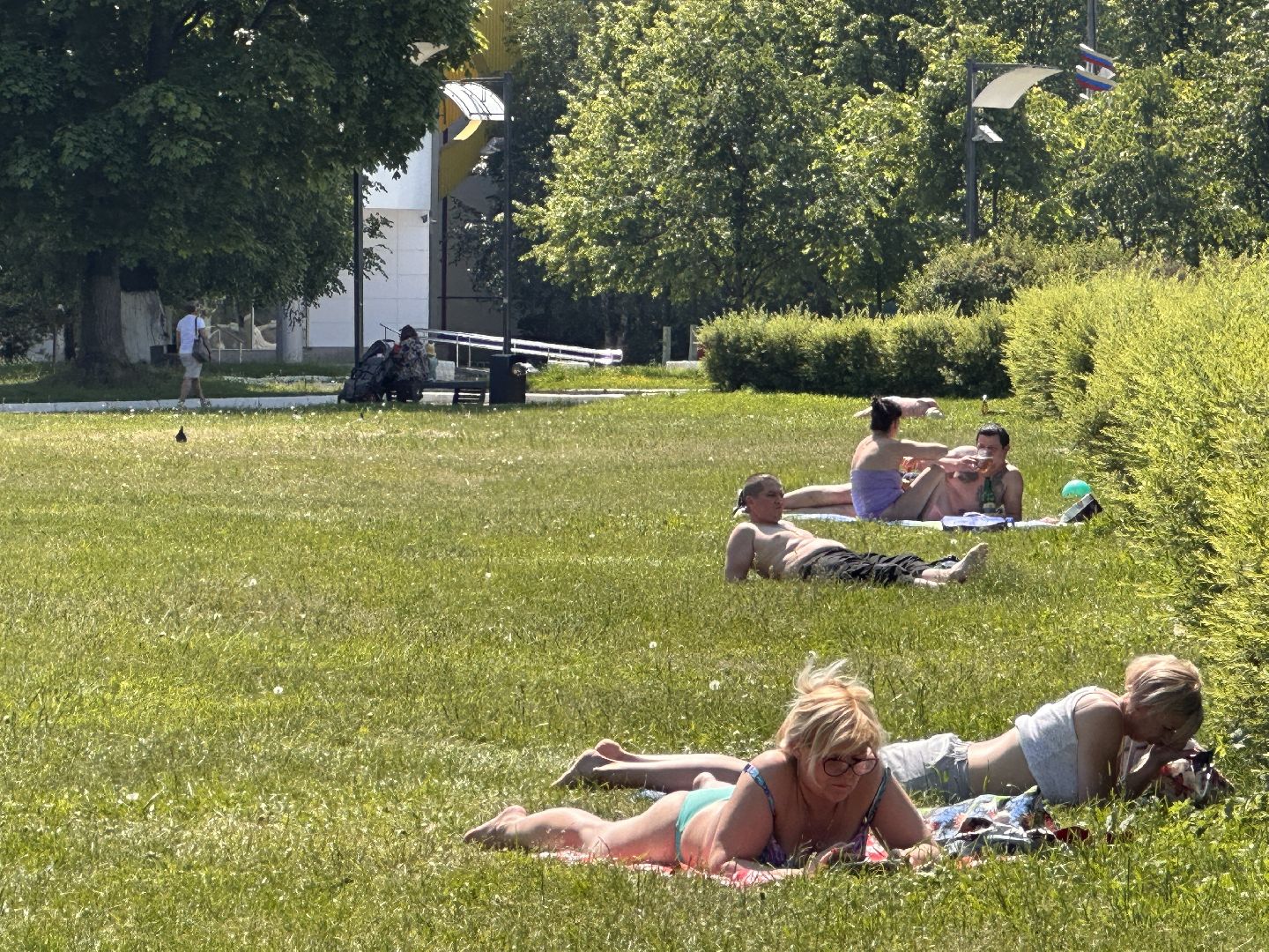 Пляжный сезон, Одинцово, нудизм, натуризм, пляж, отдых, девушки, загар