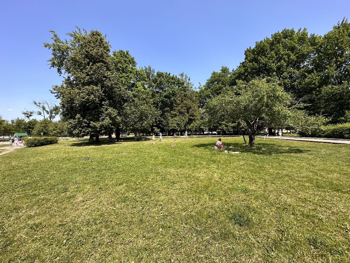 Пляжный сезон, Одинцово, нудизм, натуризм, пляж, отдых, девушки, загар