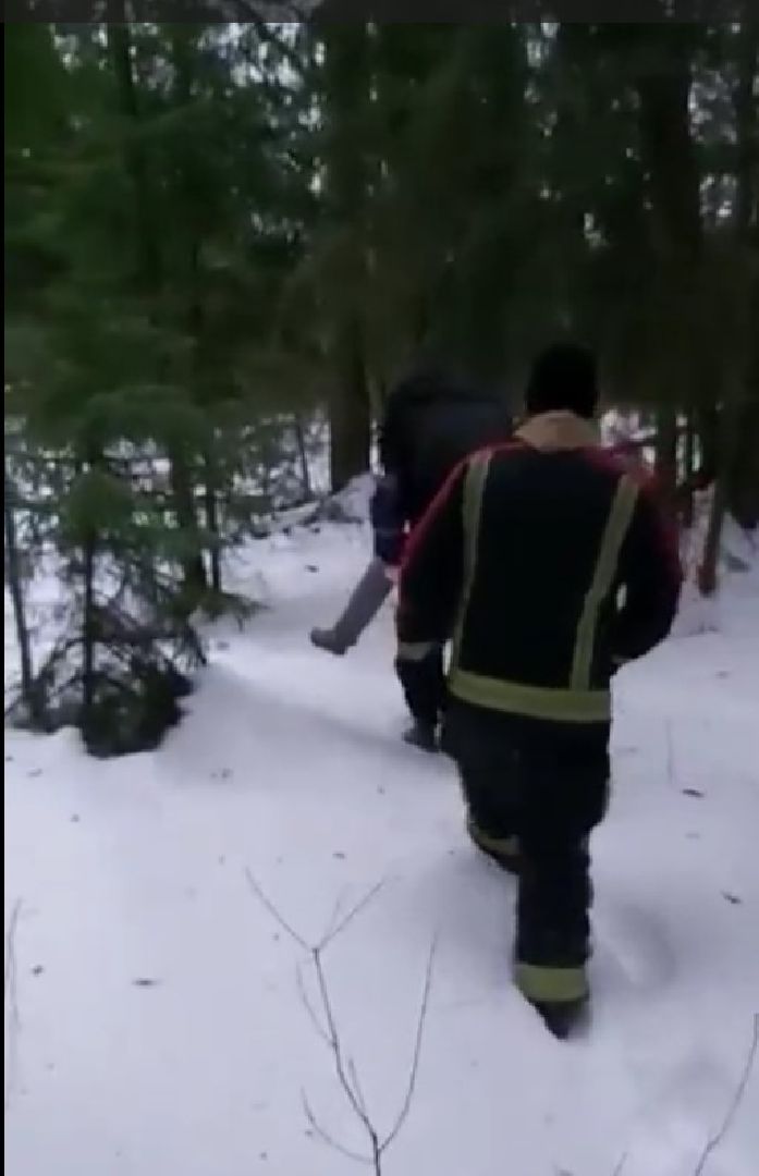 Щёлково, общество