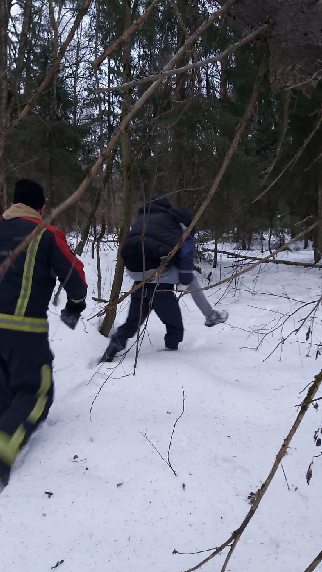 Щёлково, общество