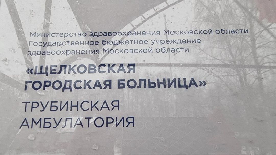 Щёлково, общество