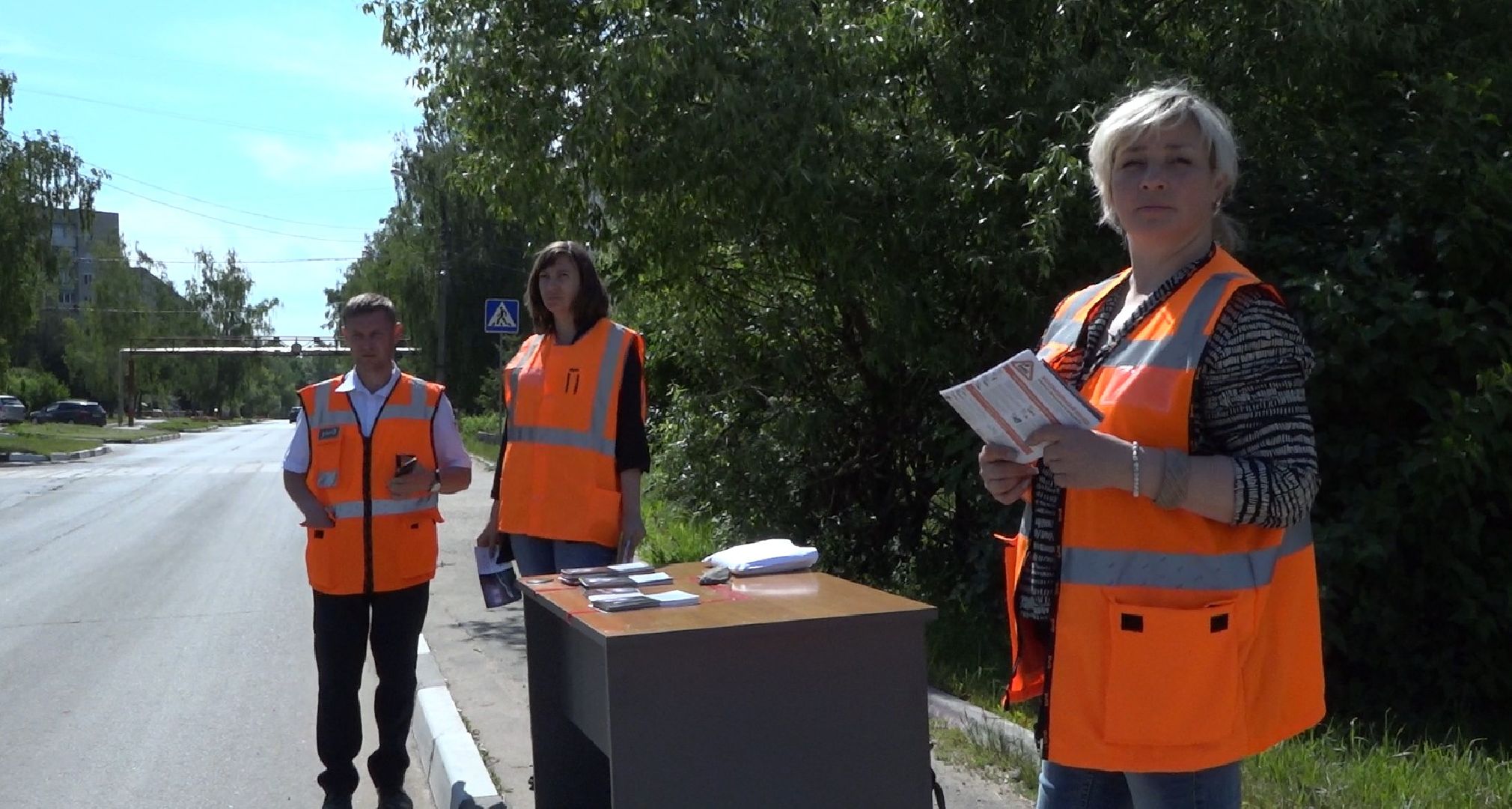 День железнодорожных переездов, Домодедово