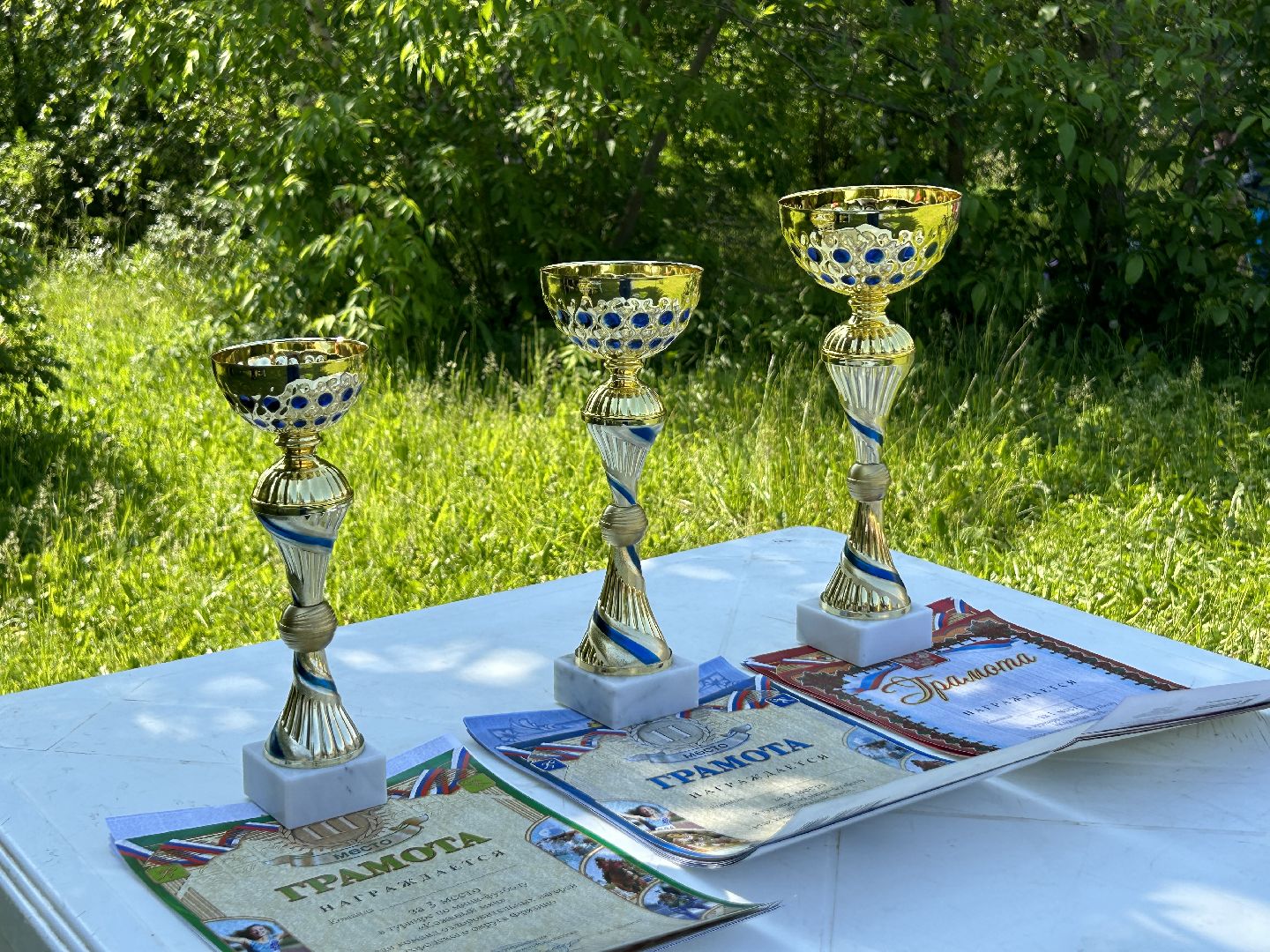 Спорт, футбол, лагерь, дети, Фрязино