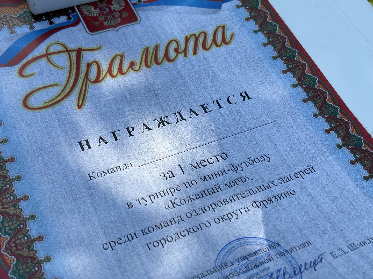 Спорт, футбол, лагерь, дети, Фрязино