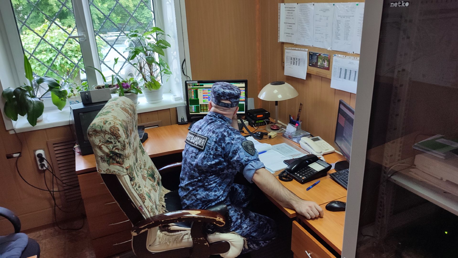 Кашира, ОВО, Росгвардия, воры, домушники, сигнализация