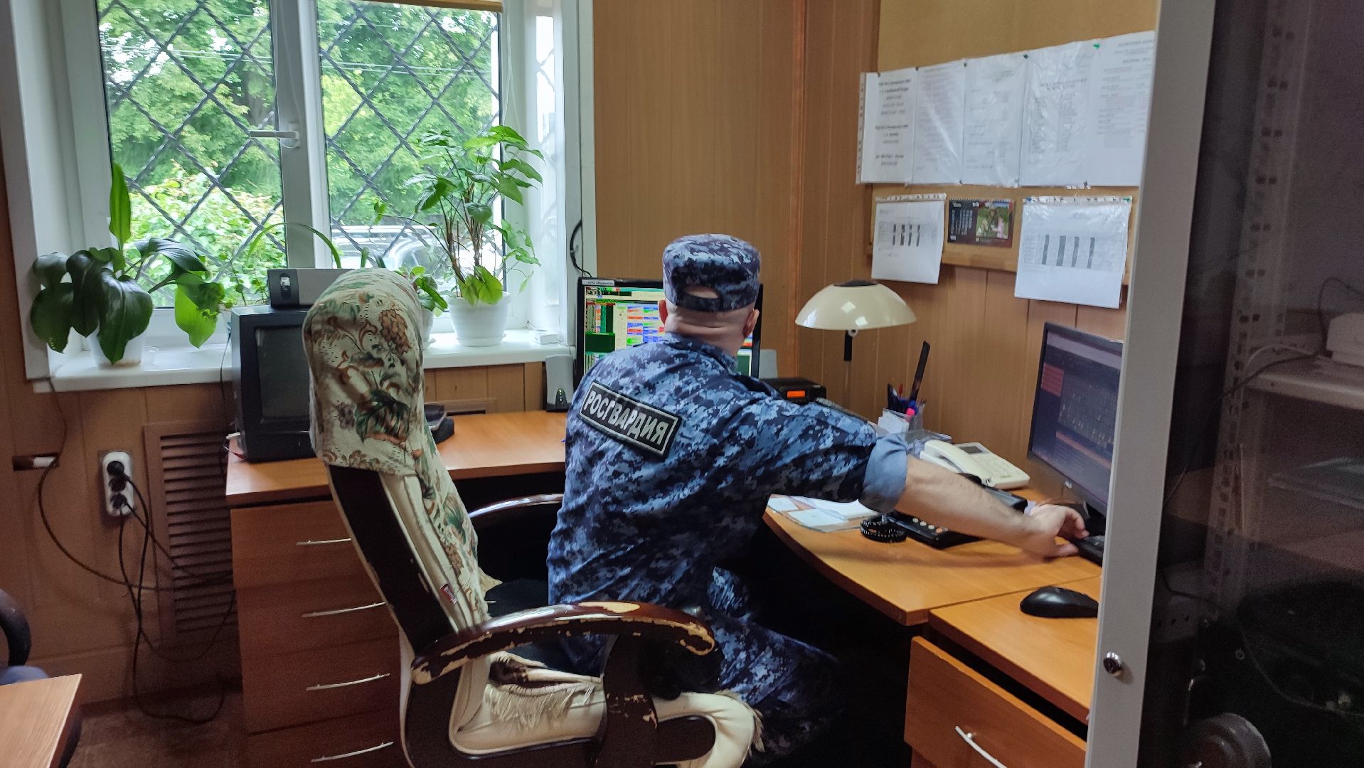 Кашира, ОВО, Росгвардия, воры, домушники, сигнализация