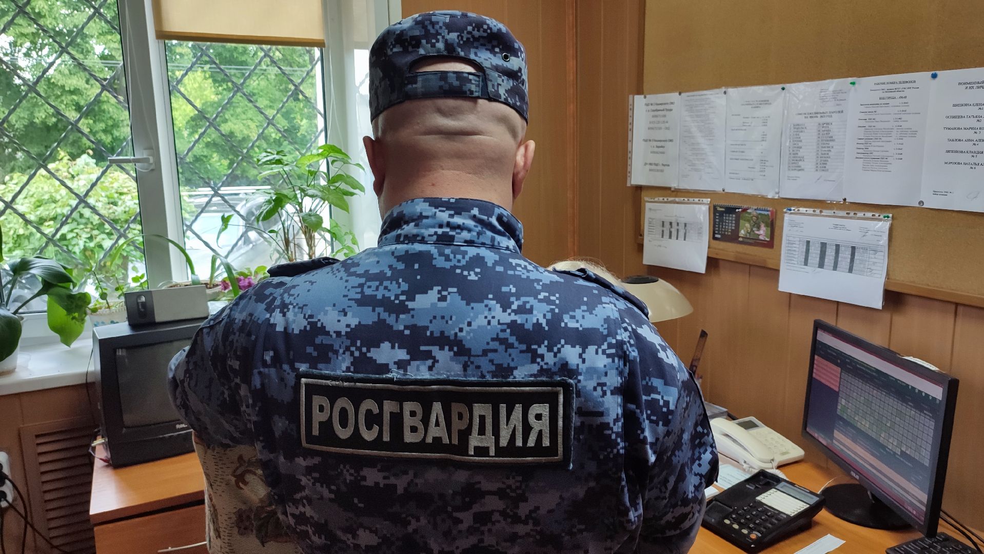 Кашира, ОВО, Росгвардия, воры, домушники, сигнализация