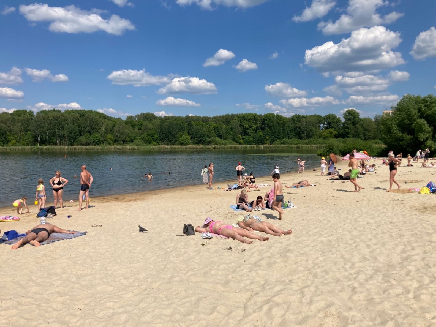 Солнечногорск, жара, отдых, озеро, Сенеж