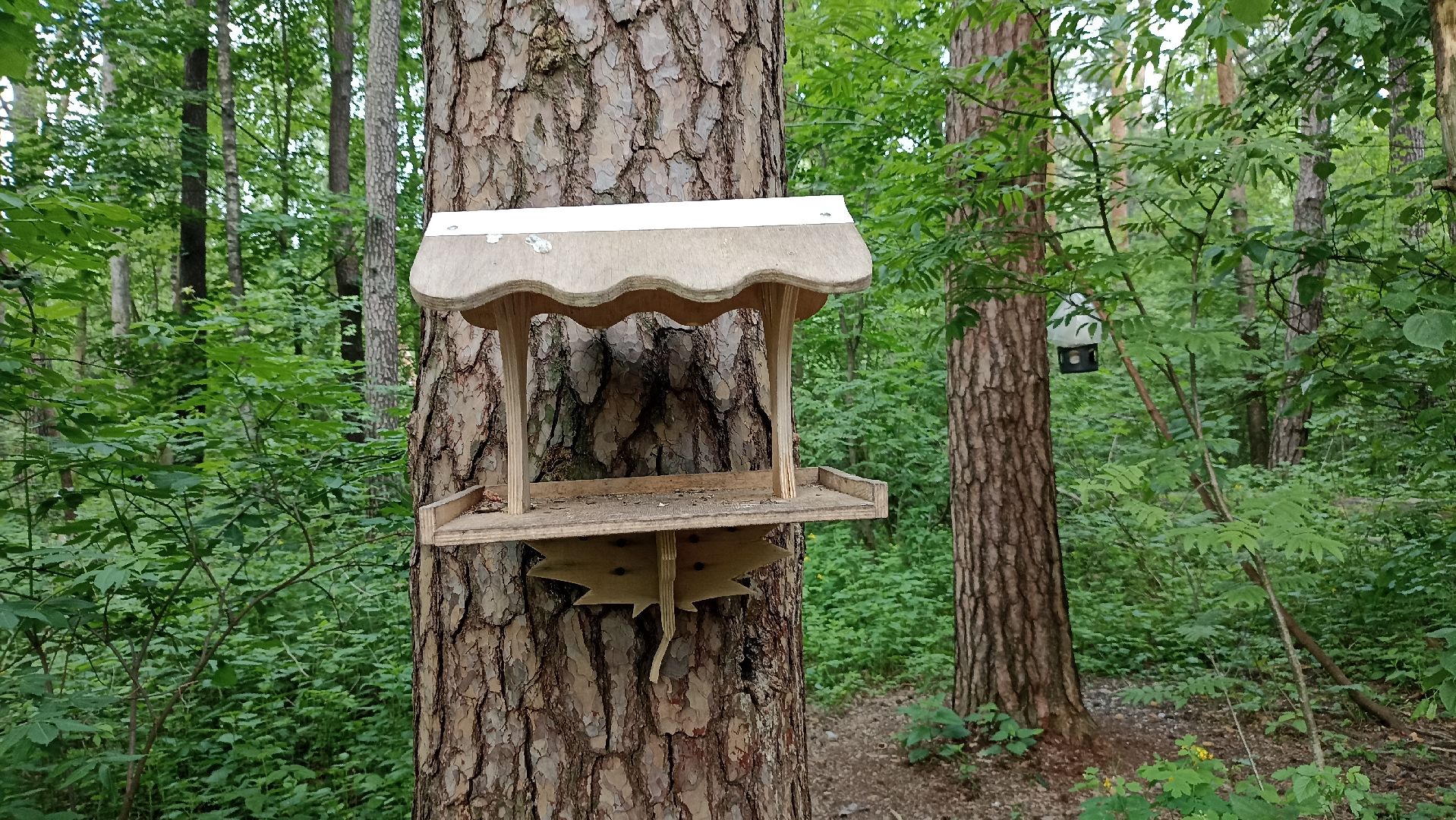 Серпухов, Подмосковье, стадион, белки, реконструкция