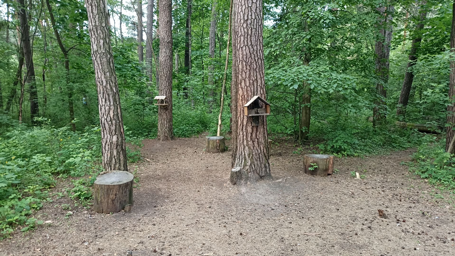 Серпухов, Подмосковье, стадион, белки, реконструкция