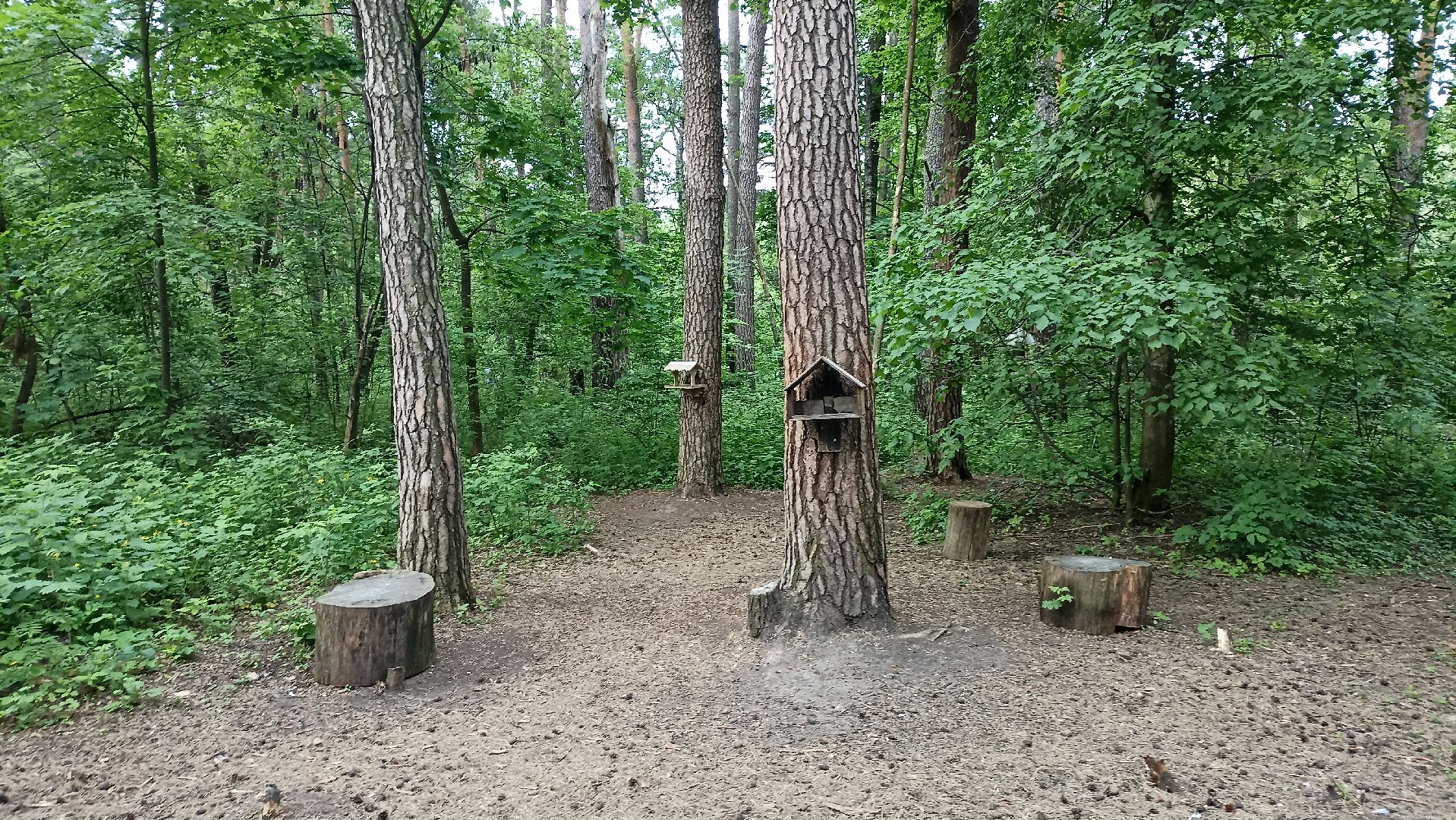 Серпухов, Подмосковье, стадион, белки, реконструкция