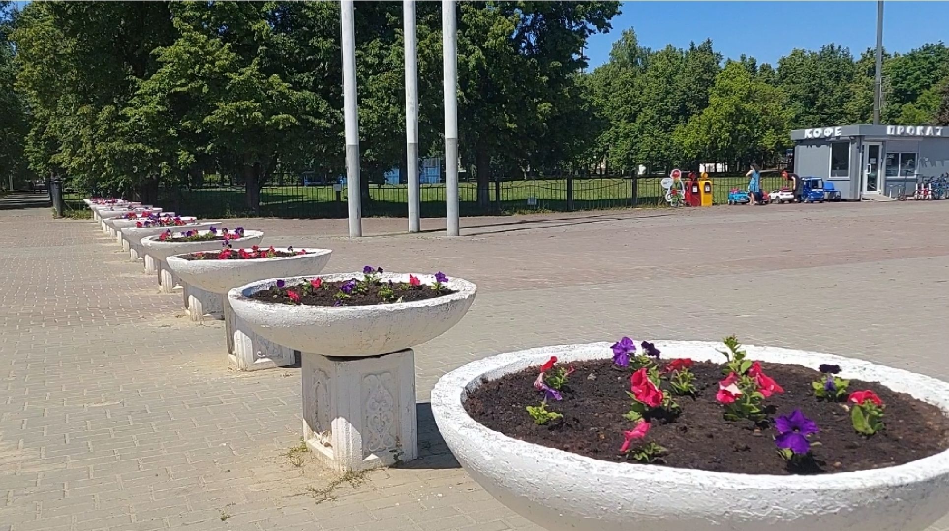 благоустройство, высадка цветов, город