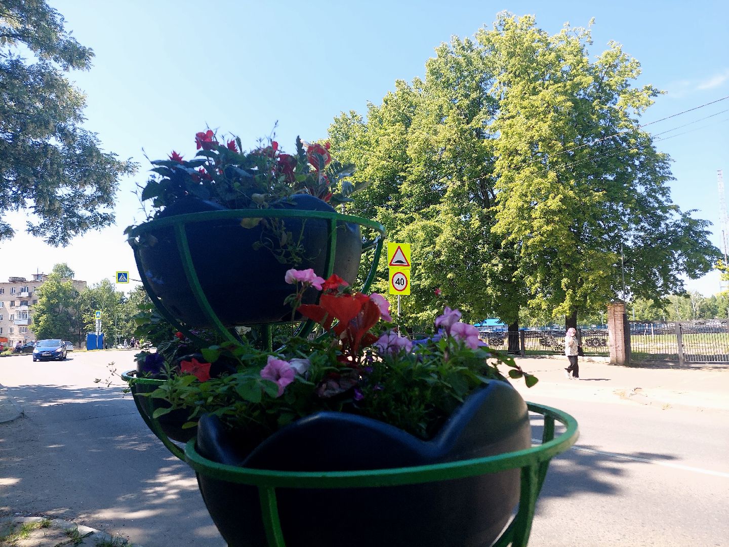 благоустройство, высадка цветов, город
