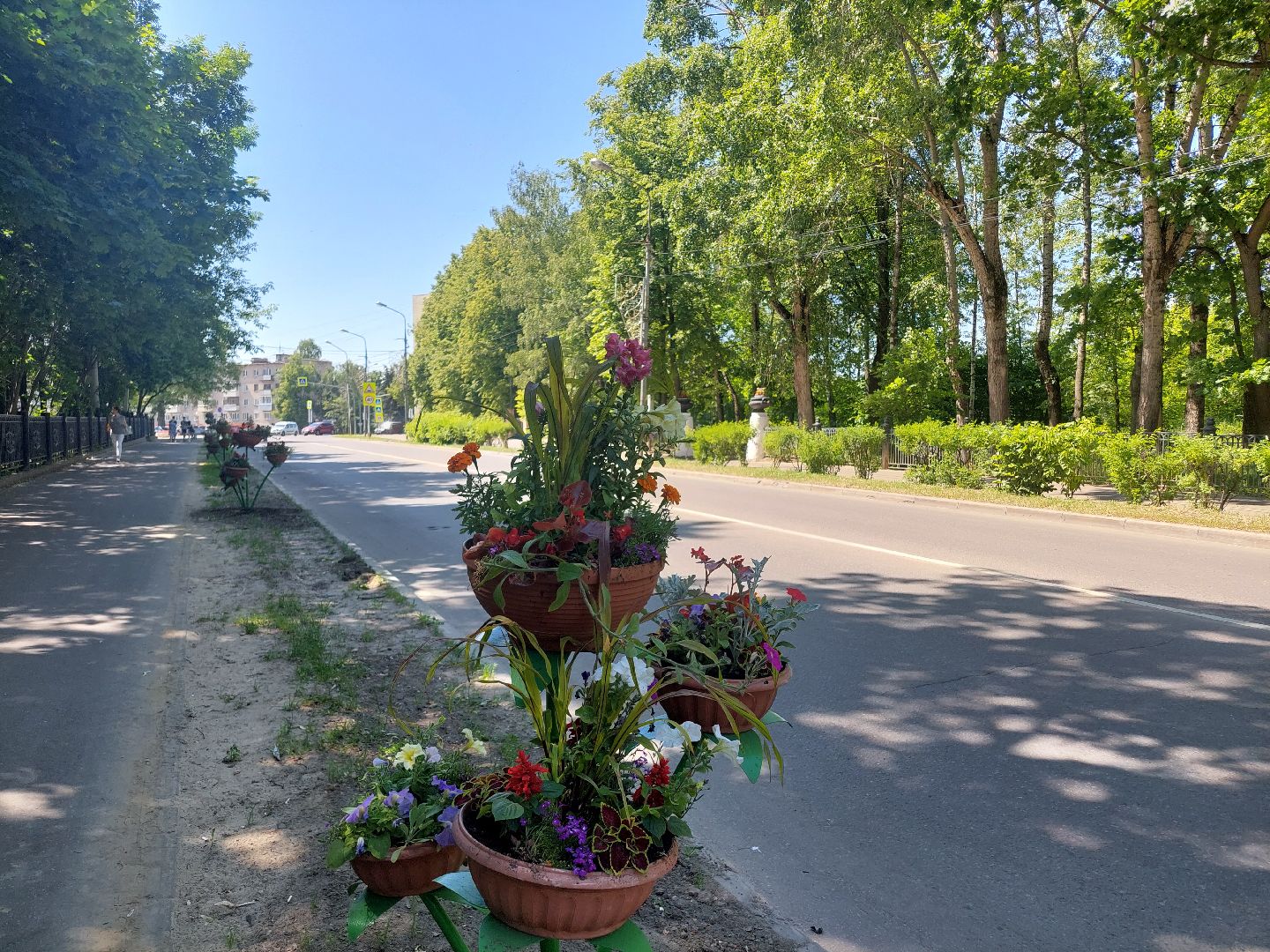 благоустройство, высадка цветов, город