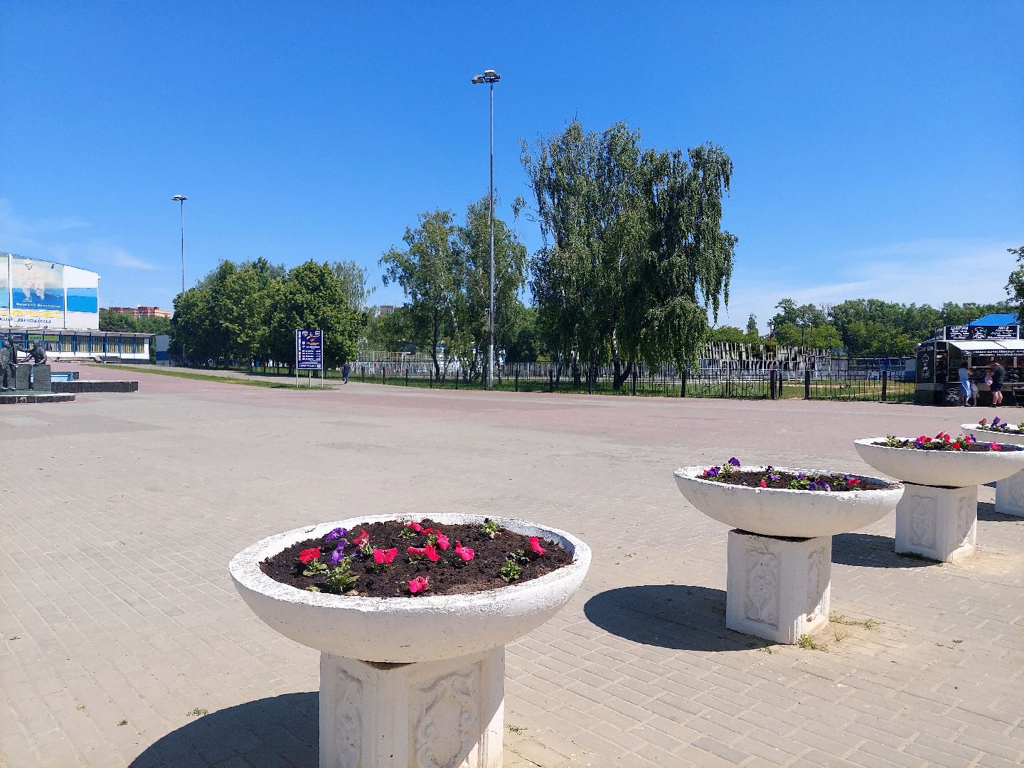 благоустройство, высадка цветов, город