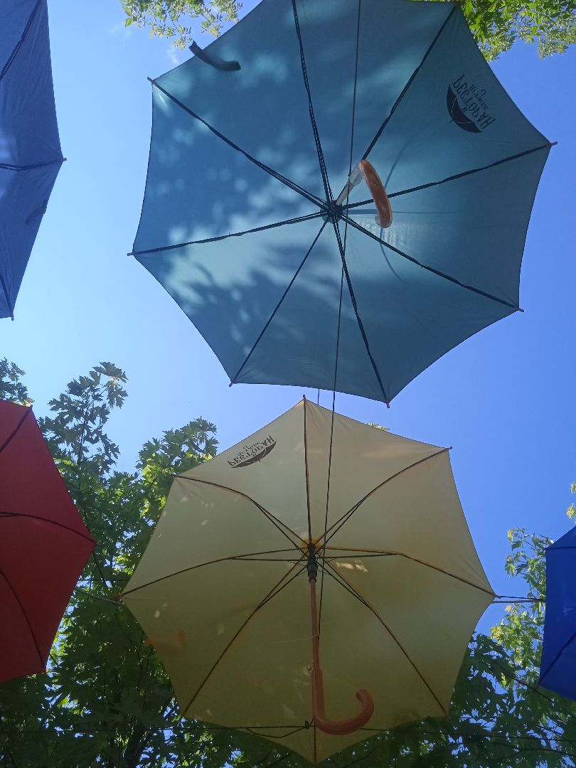 парящие, зонтики, аллея, апарт-отель, Дружба