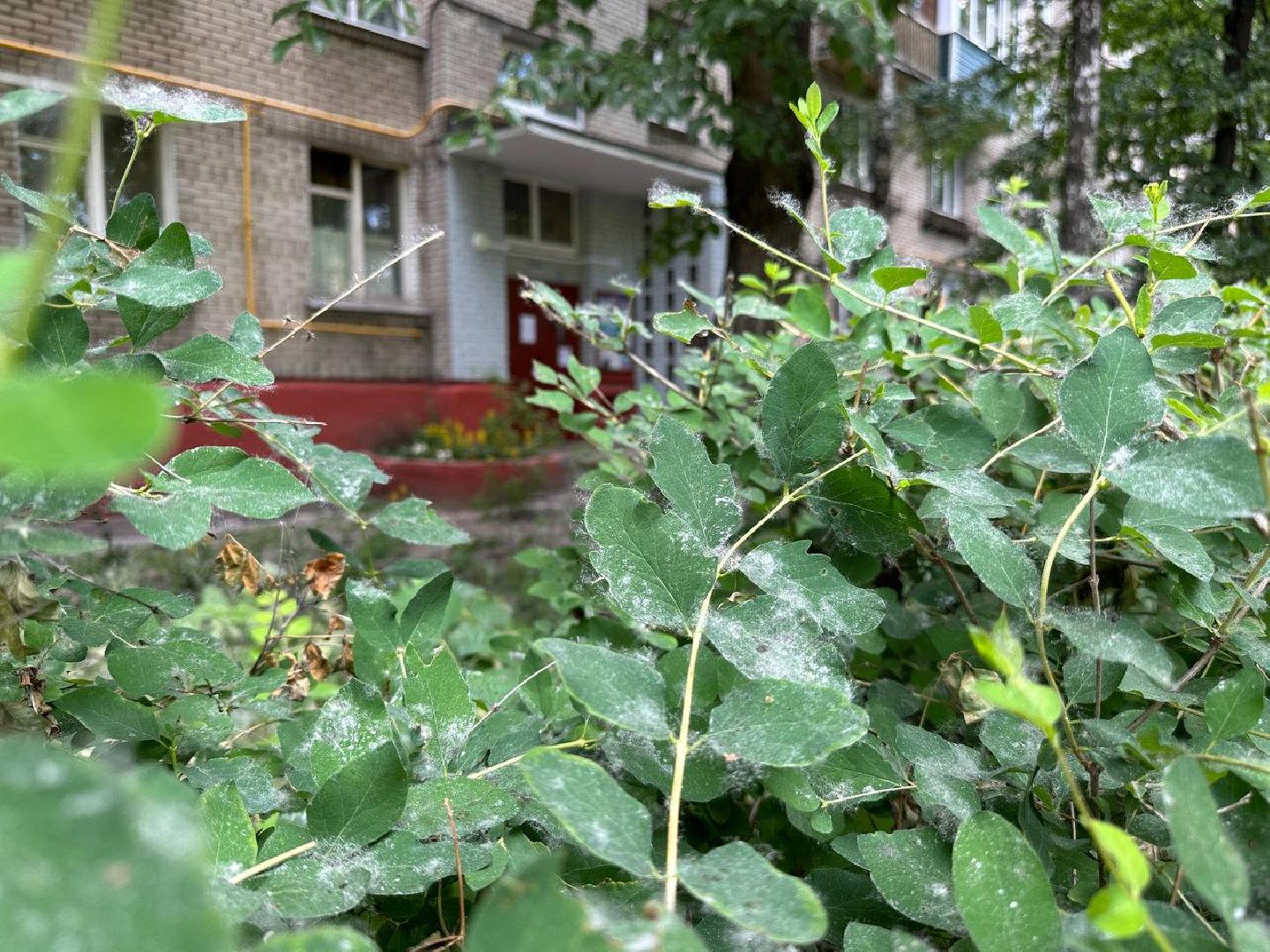 Реутов, ЖКХ, Светлый город, фонари