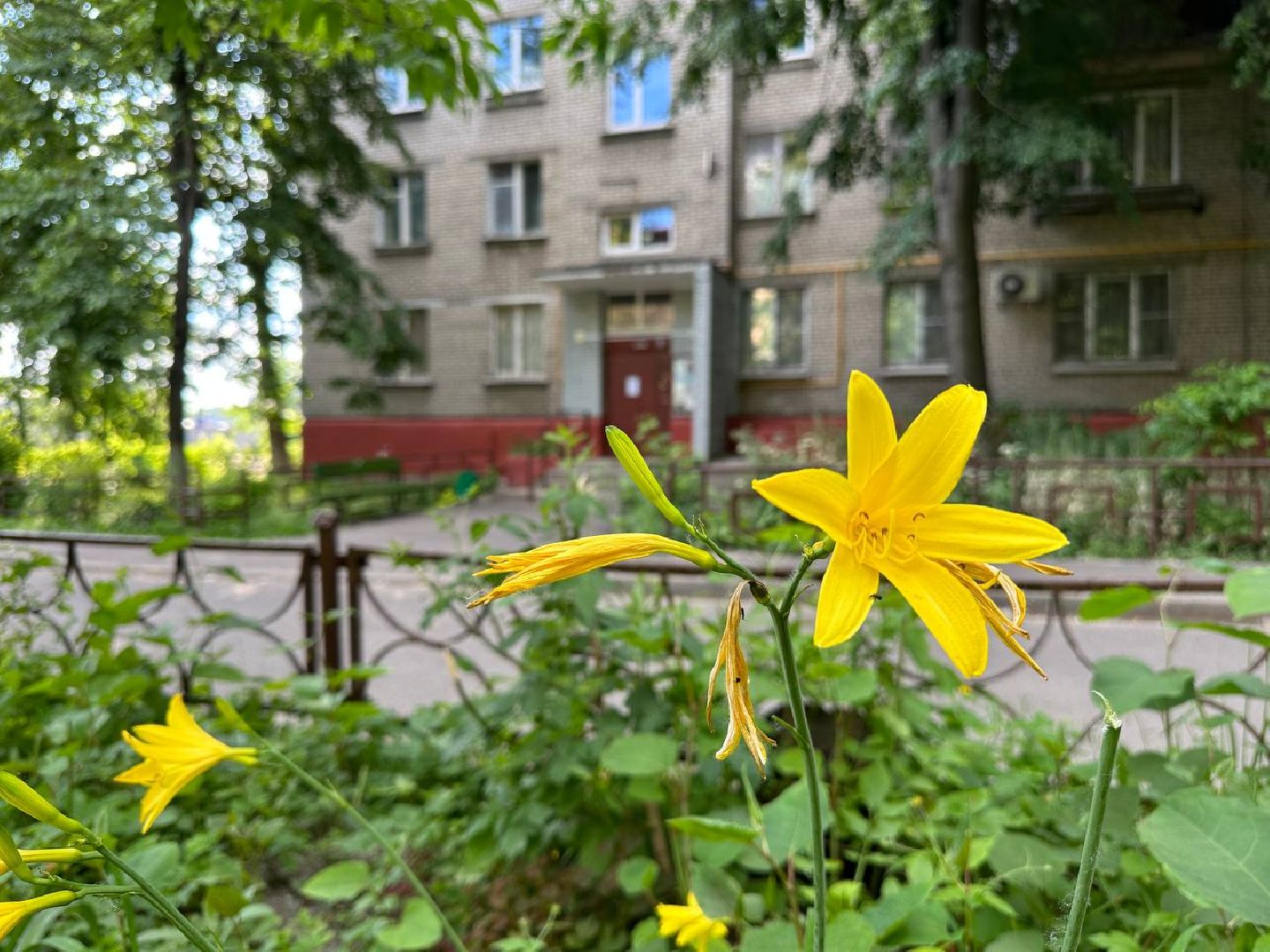 Реутов, ЖКХ, Светлый город, фонари