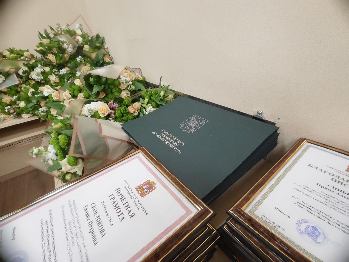 Пушкино, медицина, здравоохранение, день медицинского работника