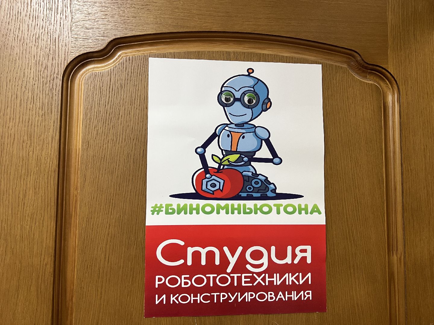 Химки, образование, робототехника, Бином Ньютона