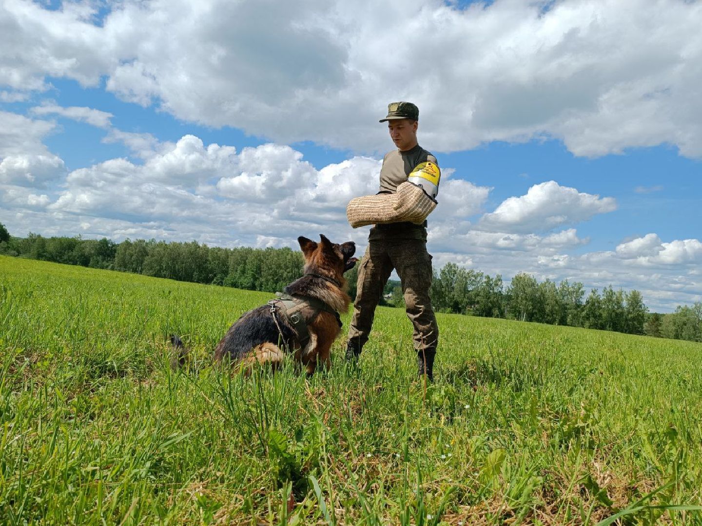 Можайск, Можайский городской округ, Подмосковье, служебные собаки, люди, дог-шоу, показательные выступления, собаки, дрессировка, кинолог