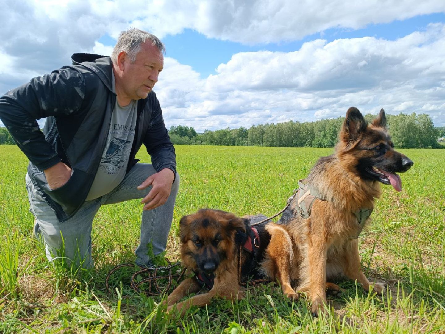 Можайск, Можайский городской округ, Подмосковье, служебные собаки, люди, дог-шоу, показательные выступления, собаки, дрессировка, кинолог