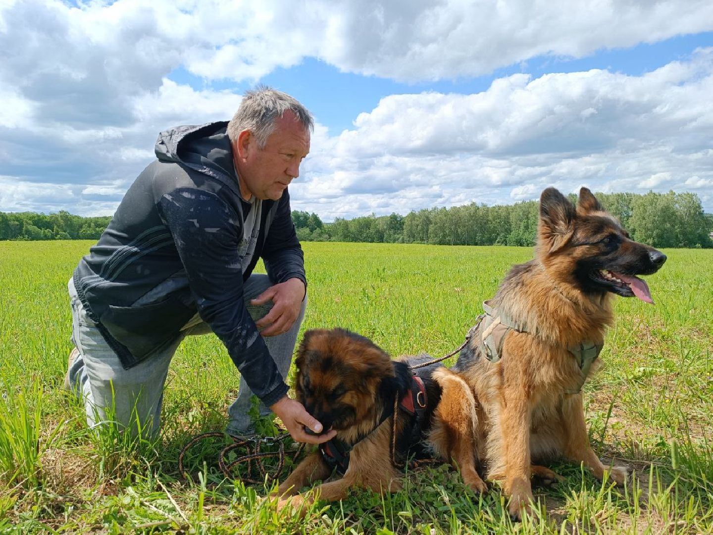 Можайск, Можайский городской округ, Подмосковье, служебные собаки, люди, дог-шоу, показательные выступления, собаки, дрессировка, кинолог