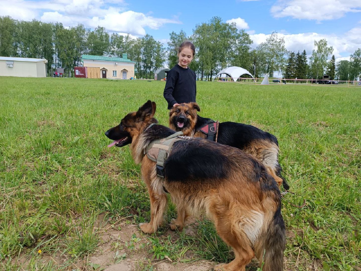 Можайск, Можайский городской округ, Подмосковье, служебные собаки, люди, дог-шоу, показательные выступления, собаки, дрессировка, кинолог