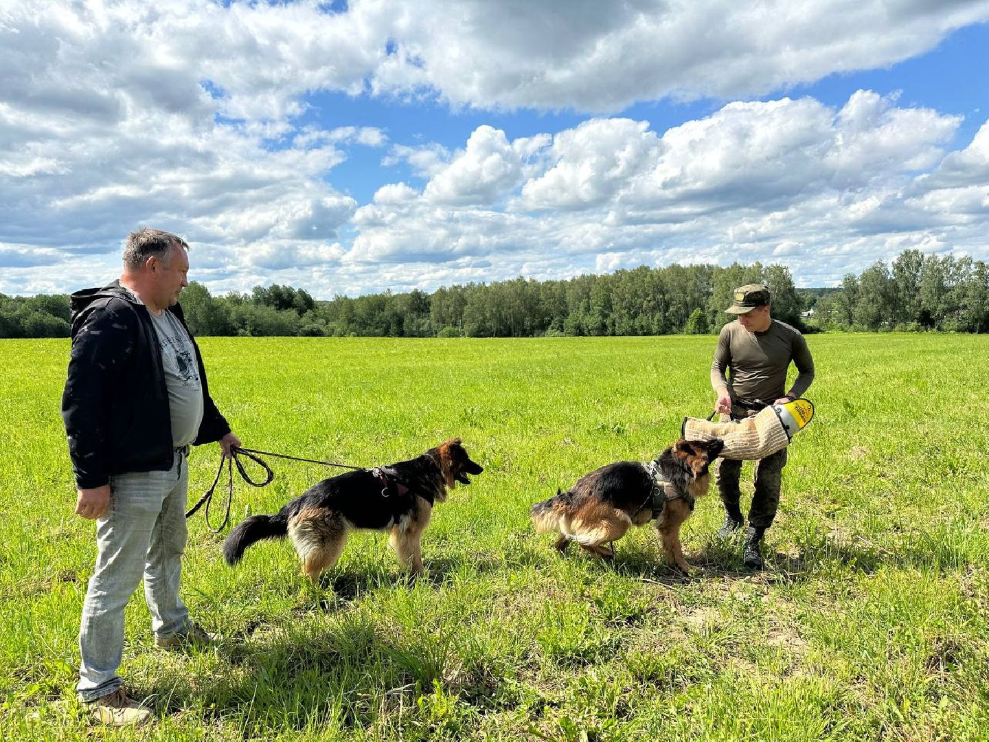 Можайск, Можайский городской округ, Подмосковье, служебные собаки, люди, дог-шоу, показательные выступления, собаки, дрессировка, кинолог