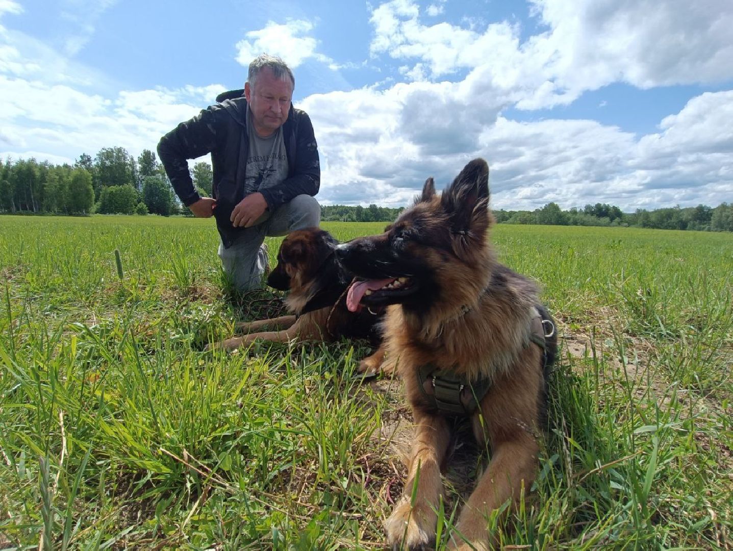 Можайск, Можайский городской округ, Подмосковье, служебные собаки, люди, дог-шоу, показательные выступления, собаки, дрессировка, кинолог