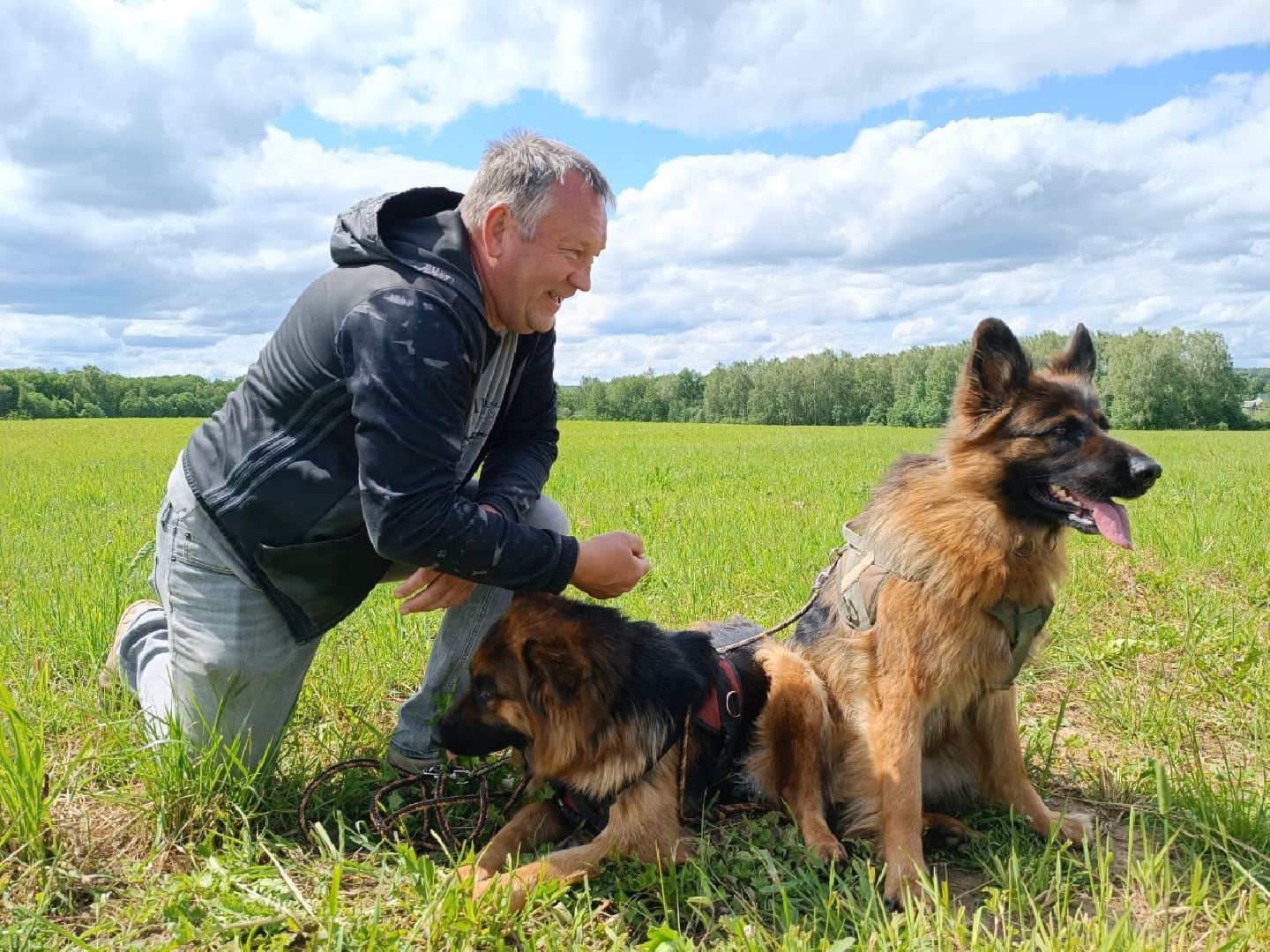 Можайск, Можайский городской округ, Подмосковье, служебные собаки, люди, дог-шоу, показательные выступления, собаки, дрессировка, кинолог