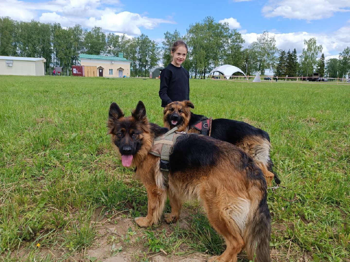 Можайск, Можайский городской округ, Подмосковье, служебные собаки, люди, дог-шоу, показательные выступления, собаки, дрессировка, кинолог
