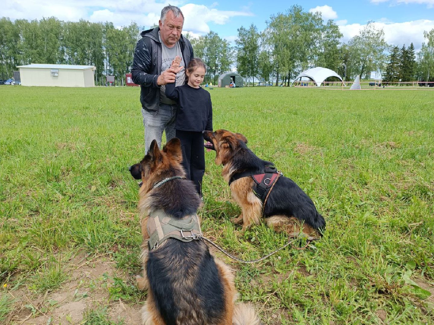Можайск, Можайский городской округ, Подмосковье, служебные собаки, люди, дог-шоу, показательные выступления, собаки, дрессировка, кинолог