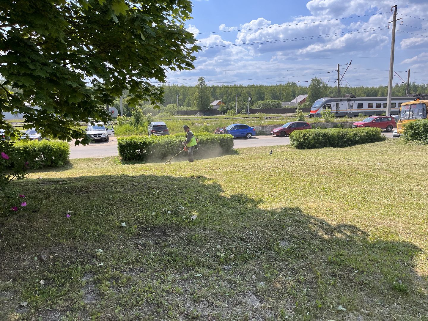 Шаховская, покос, трава