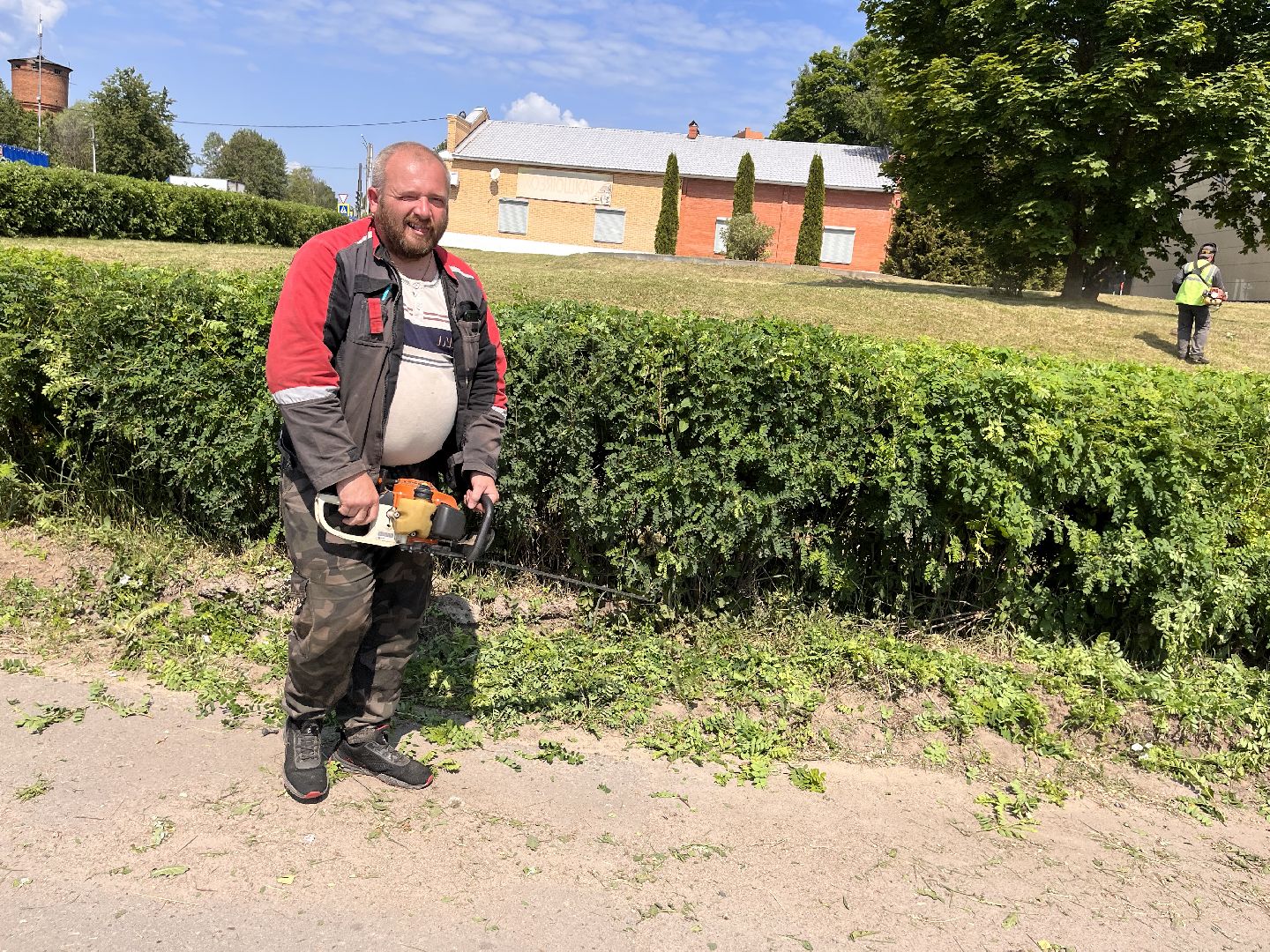 Шаховская, покос, трава